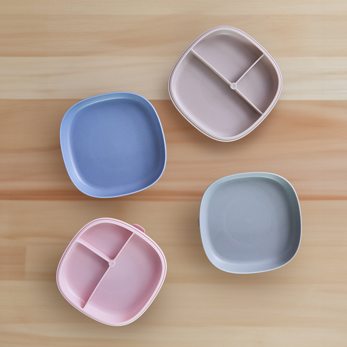 silicone plate and lid - Assorted B-Box