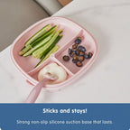 2 in 1 Suction Plate - Assorted B-Box