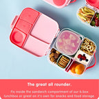 lunch tub - Assorted B-Box