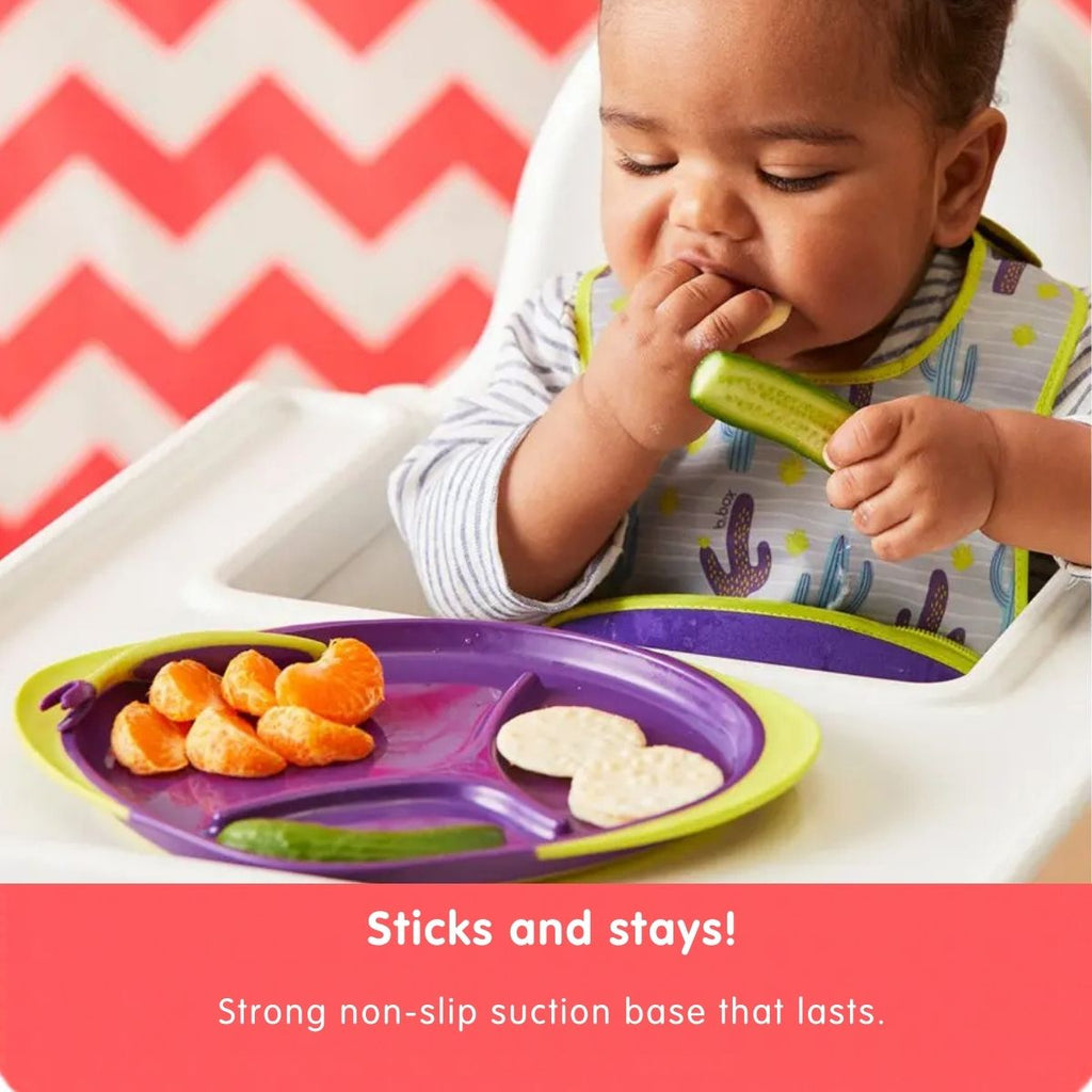Large Plate - Assorted My Store