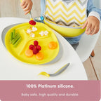 Large Plate - Assorted My Store