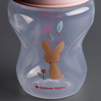 Tommee Tippee Natural Start 260ml Decorated Bottle 2pk - Girl