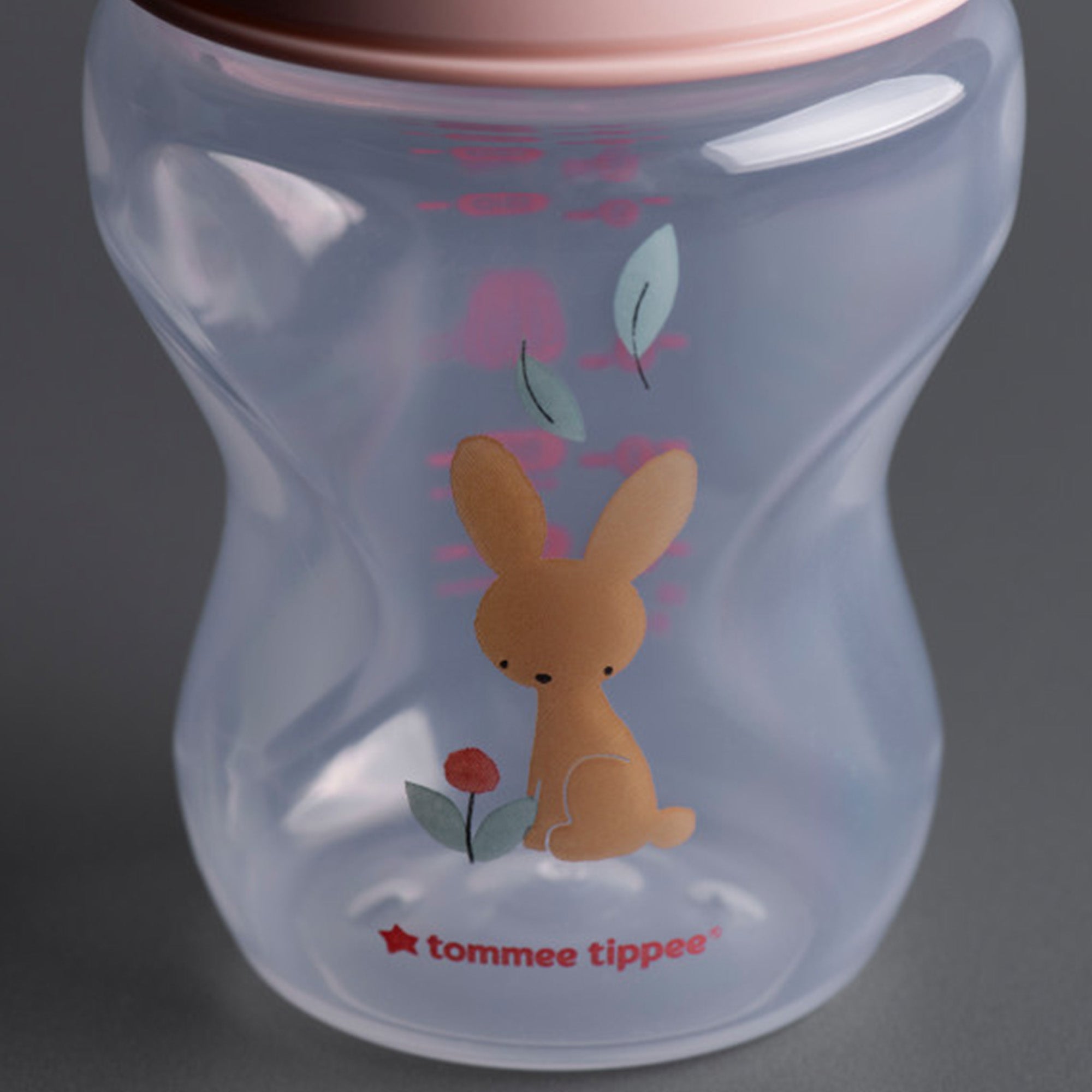 Tommee Tippee Natural Start 260ml Decorated Bottle 2pk - Girl
