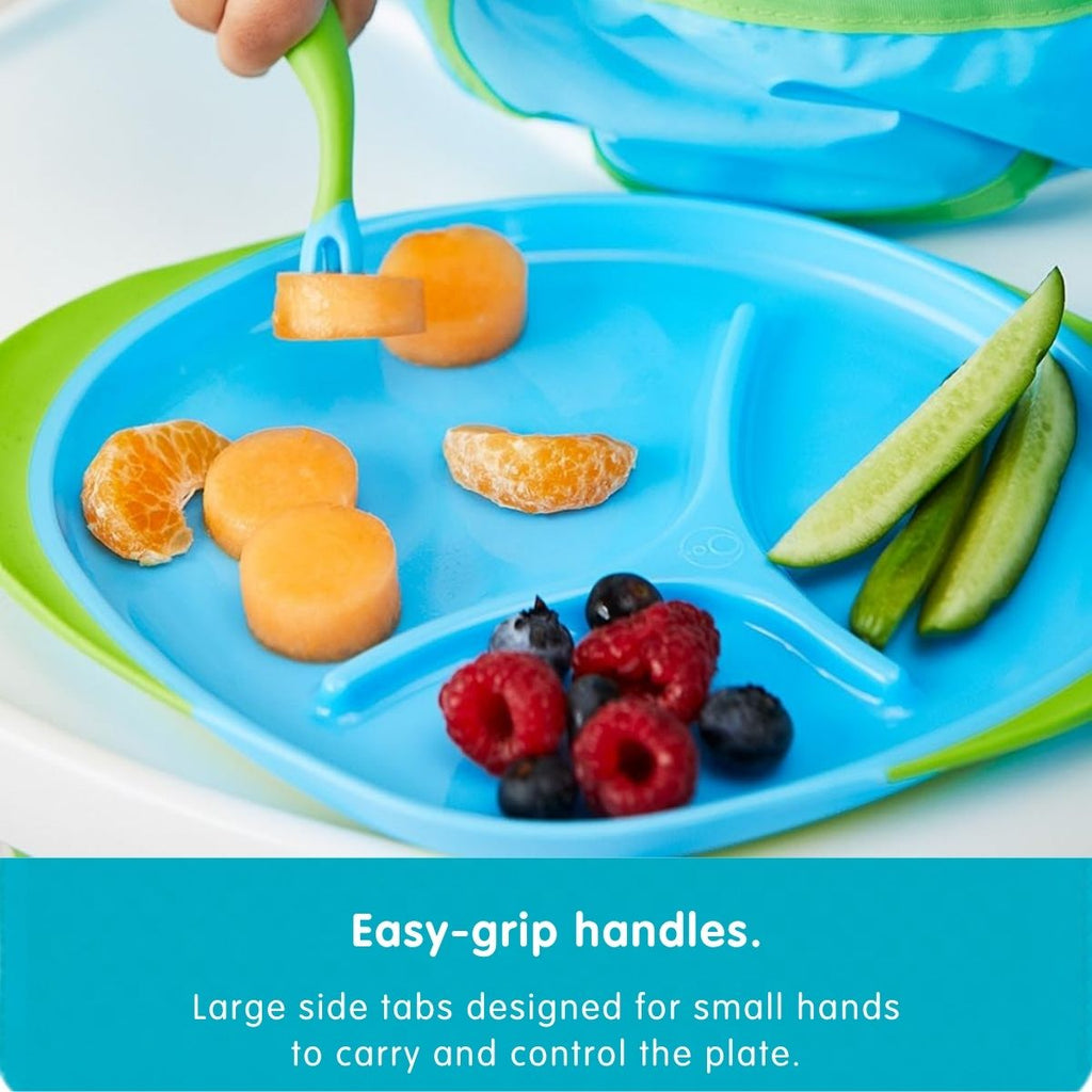 Large Plate - Assorted My Store