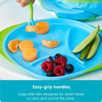 Large Plate - Assorted My Store