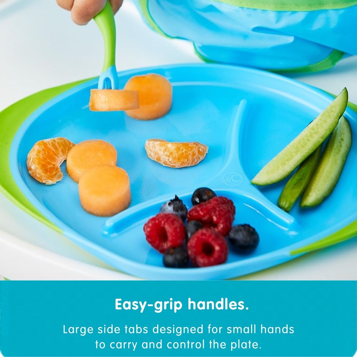 Large Plate - Assorted My Store