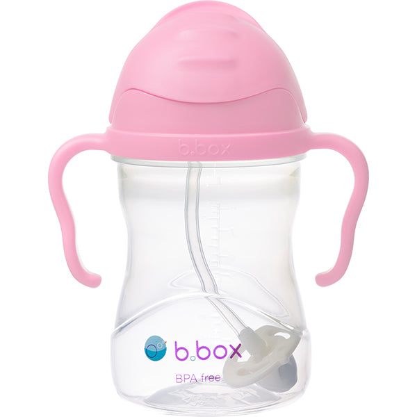 Sippy Cup - Pastel B-Box
