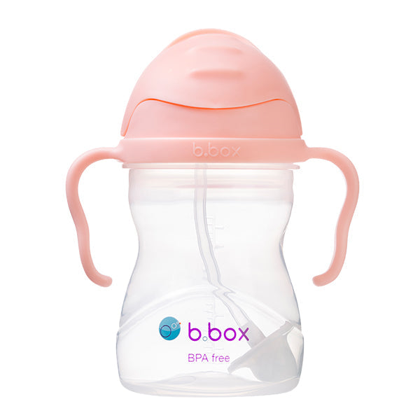 Sippy Cup - Bright B-Box
