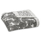 Aden + Anais Silky Soft Blanket - In Motion Wedges