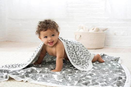 Aden + Anais Silky Soft Blanket - In Motion Wedges