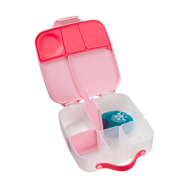 lunchbox - Assorted B-Box