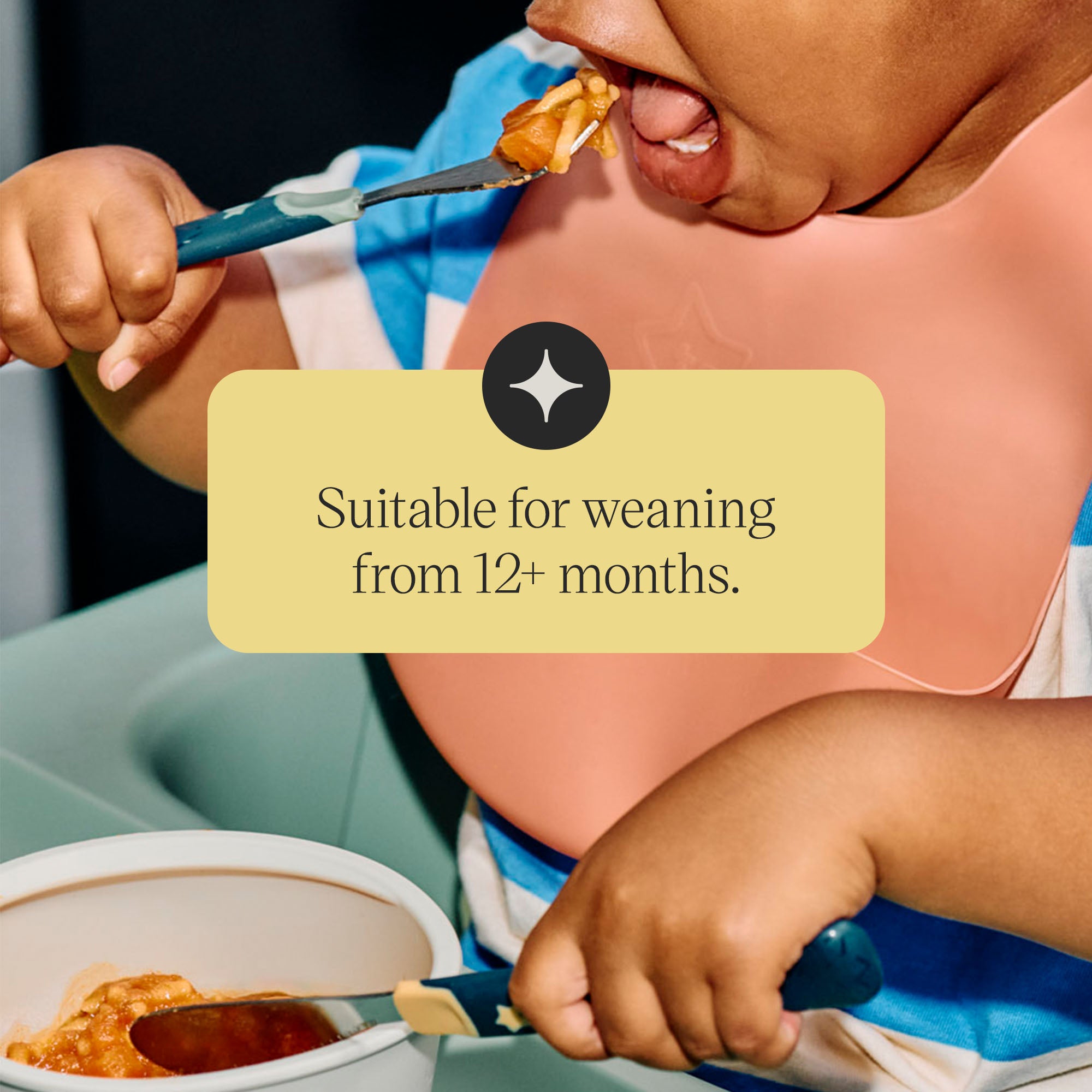 Tommee Tippee Grown Up 1st Cutlery Set