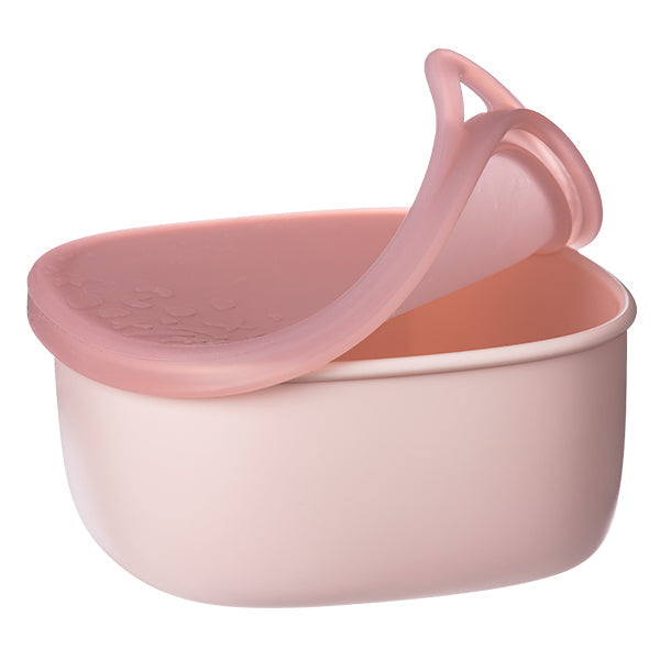 lunch tub - Assorted B-Box