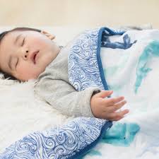 Aden & Anais Cotton Muslin Blanket - Seafaring Whale